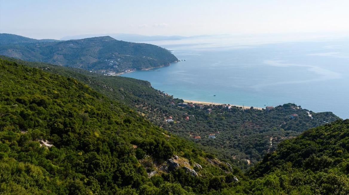 Oniropetra Pelion Mikro Hostel Kültér fotó